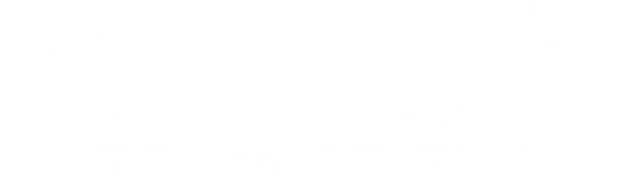Microsoft Flight Simulator X: Steam Edition logo
