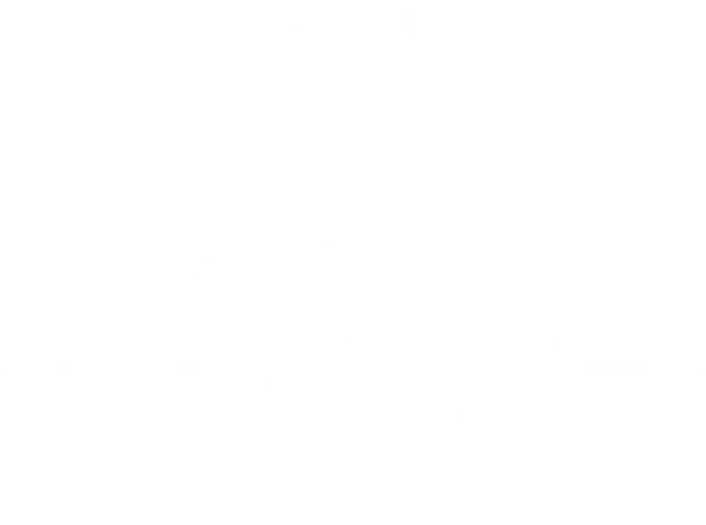 Stray logo