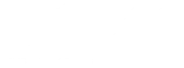 Wolfenstein: The New Order logo